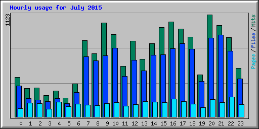 Hourly usage for July 2015