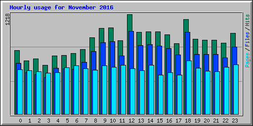 Hourly usage for November 2016